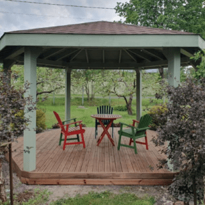 Gazebo Tiina